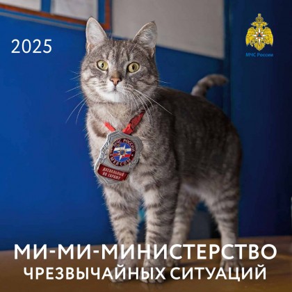  Календарь "Ми-ми-министерство чрезвычайных ситуаций 2025"